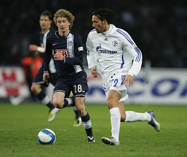 意义与展望 意义与展望