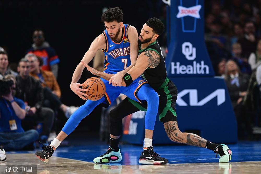 包括成年国 包括成年国